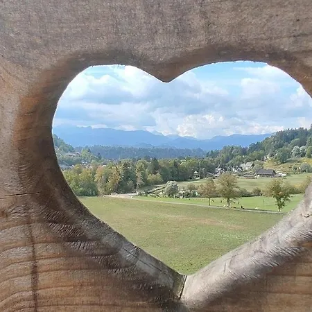 Beehive On A Farm Hébergement de vacances *