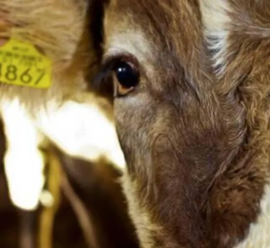 Beehive On A Farm Hébergement de vacances *