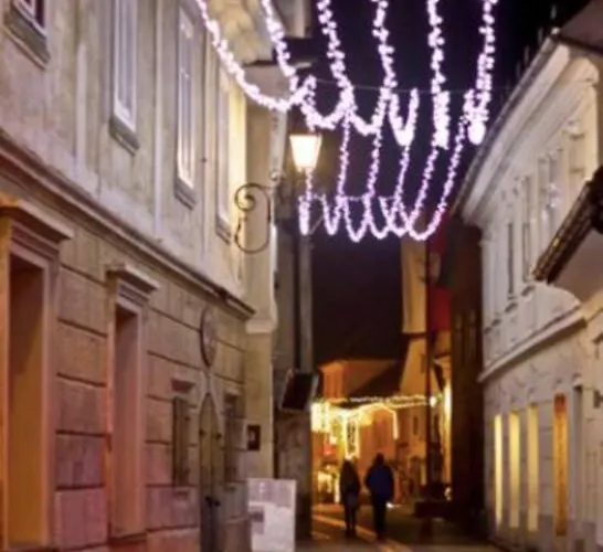 Beehive On A Farm Radovljica